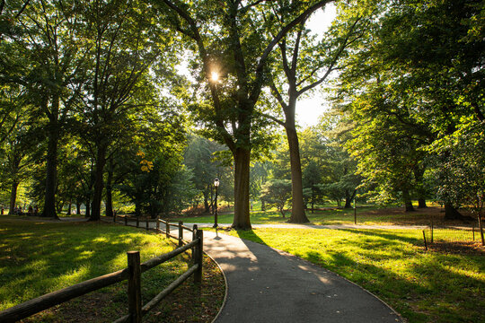Parks